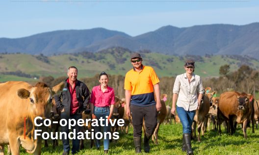 Co-operative Foundations