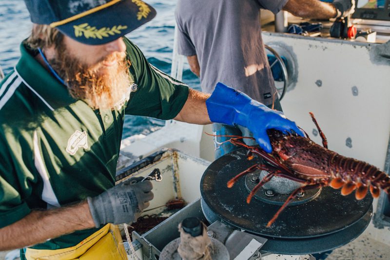 Geraldton Fishermen’s Coop