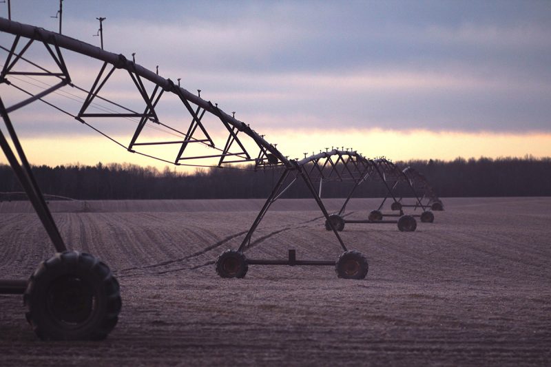 Colleambally Irrigation