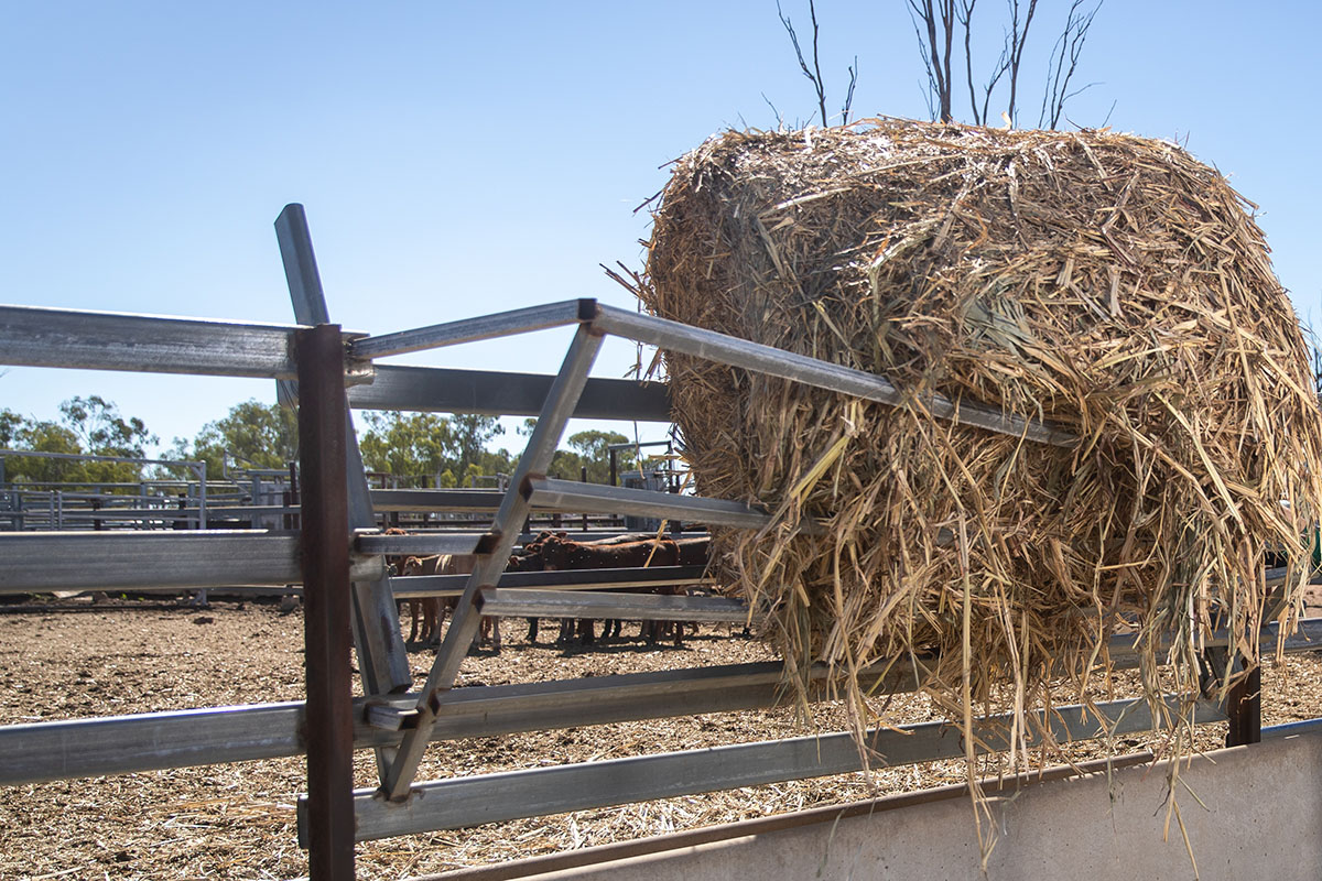How cooperatives are good Cooperative Farming
